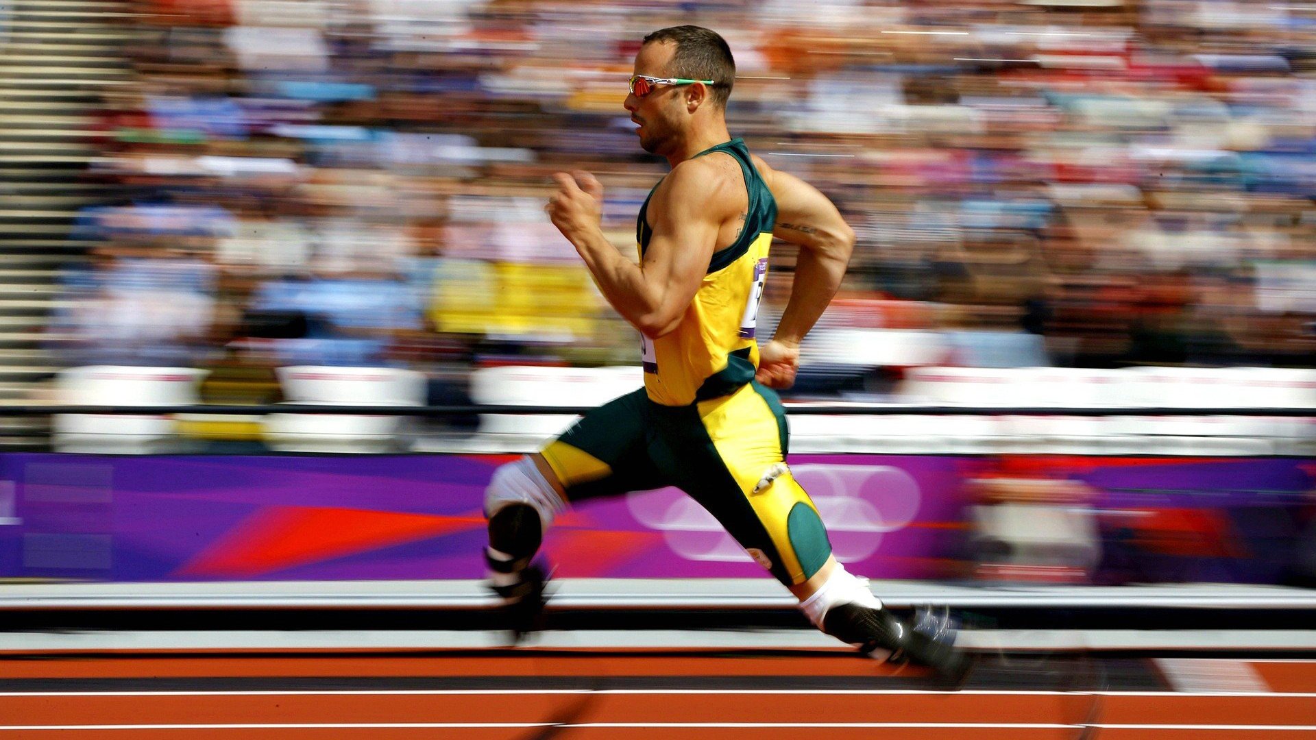 熊猫体育直播：体育科技赋能未来，智能训练与数据分析重塑竞技场