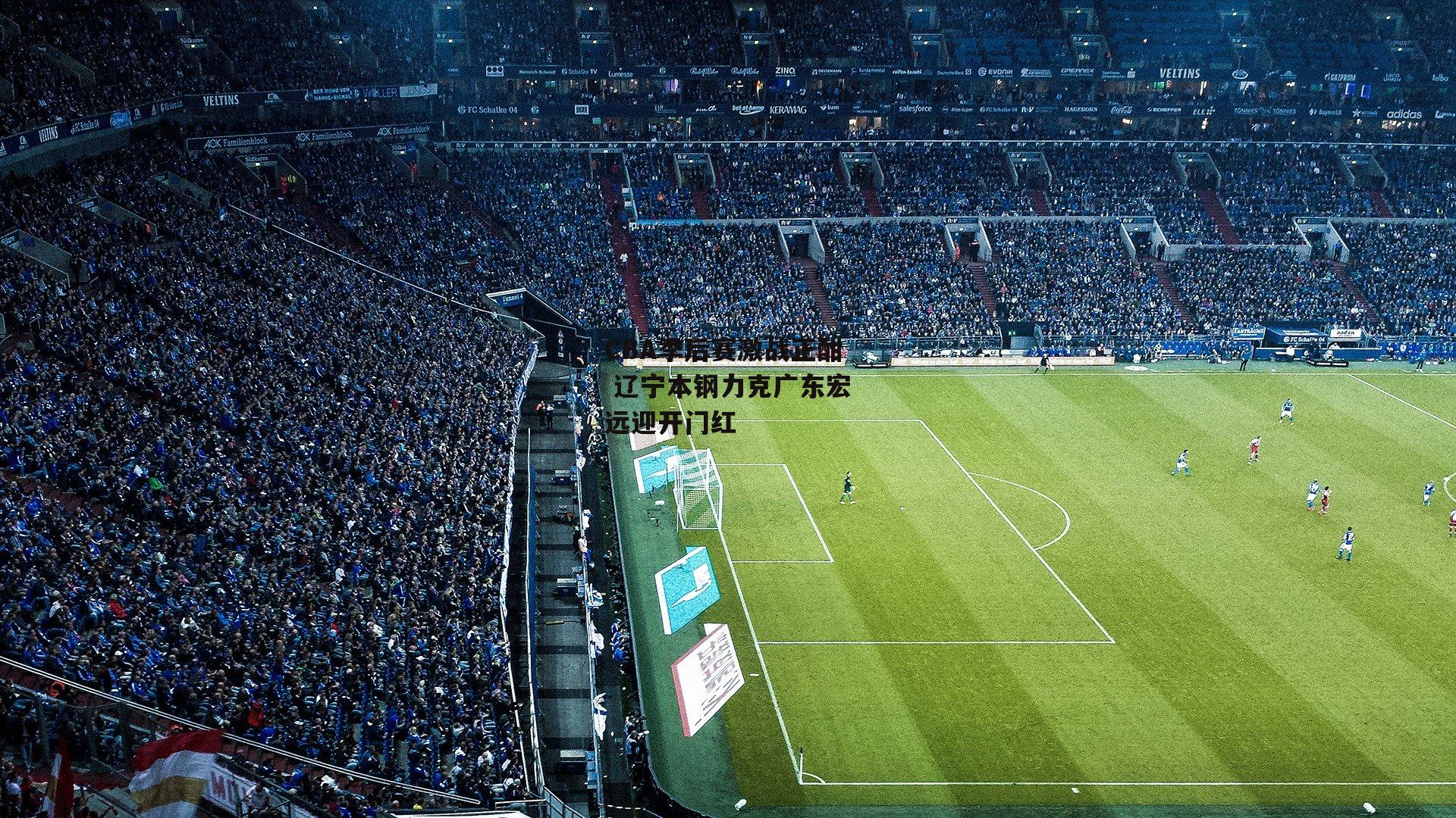 【熊猫体育直播】CBA季后赛激战正酣 辽宁本钢力克广东宏远迎开门红